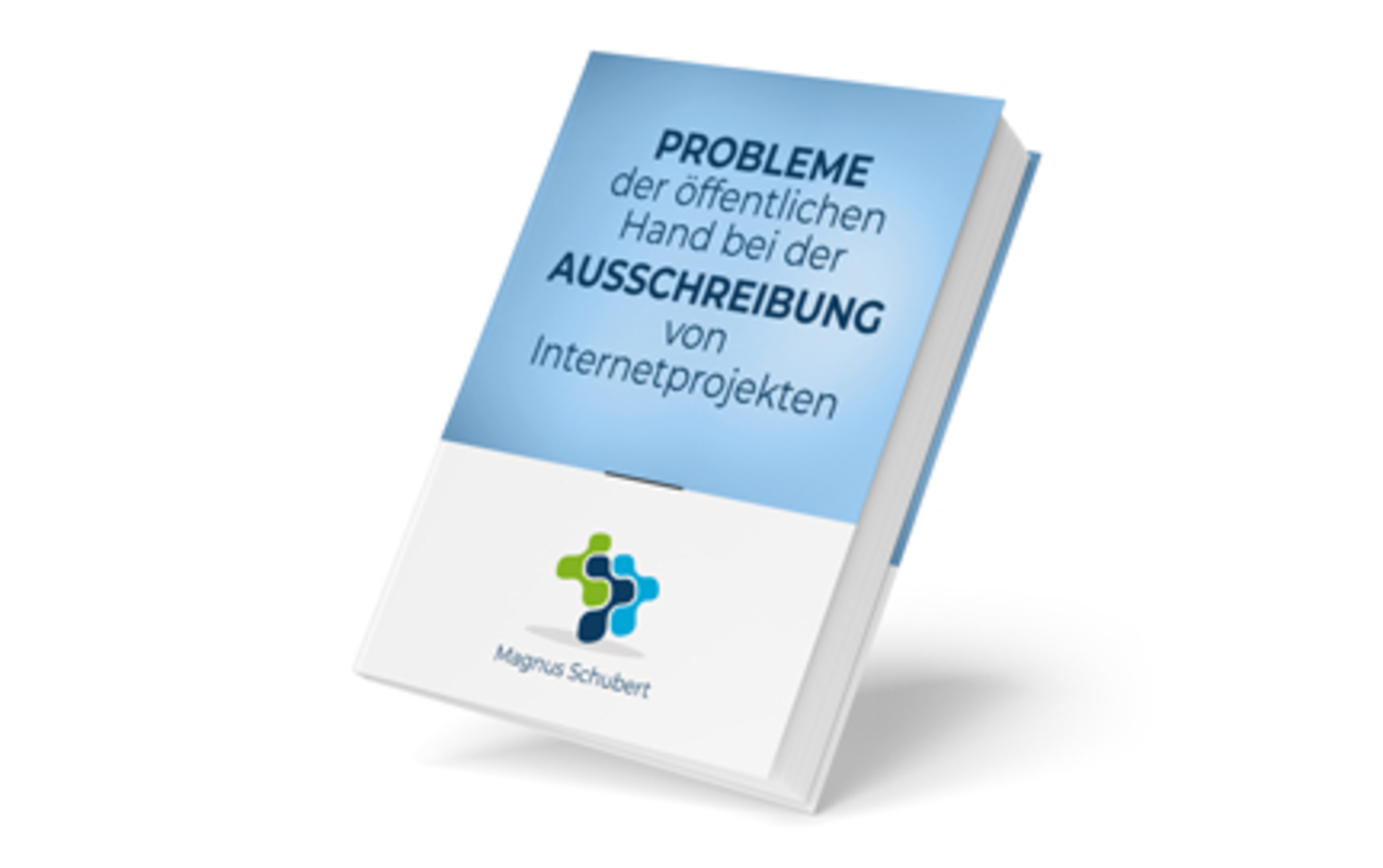 Probleme der öffentlichen Hand bei der Ausschreibung von Internetprojekten